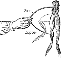 Galvani's  frog leg experiment