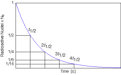 Radioactive Half Life Chart