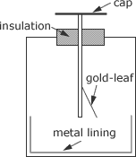 gold-leaf electroscope